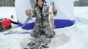 Ночевал в палатке. Поймал щук. Это настоящая рыбалка.