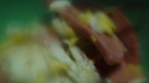 МУКБАНГ : Яичница с колбасой                   ПОДПИШИСЬ