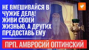 Не вмешивайся в чужие дела! Живи своей жизнью, а других предоставь их Ему. Прп. Амвросий Оптинский