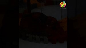 Т20856