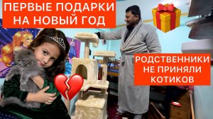 Подарки на НГ начались 🎉 родственники против новых котиков. Как теперь быть? Строим дорогу у дома