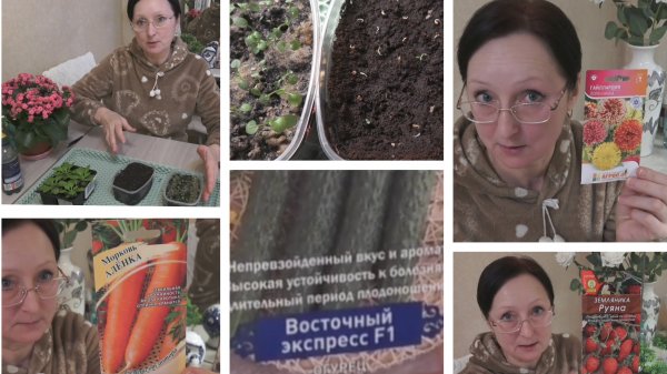 10 февраля 2026 года. Морковь Аленка. Огурец Восточный экспресс. и др семена. Сею Виолу пропущенными