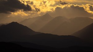 Один день из жизни медведя.