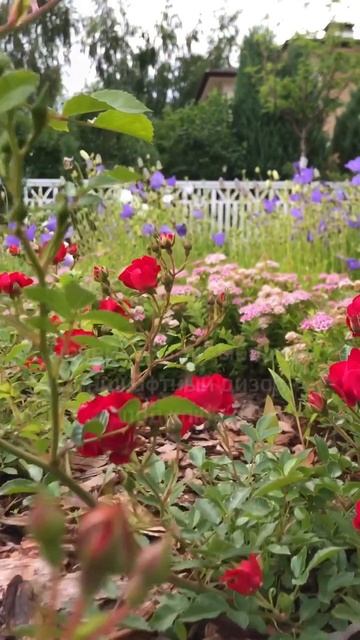 почему стоит выбирать ландшафтный дизайн под ключ смотреть онлайн