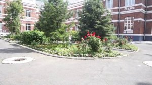 Краевая больница