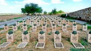 Вечно живые