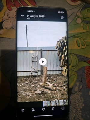 Колю дрова летом