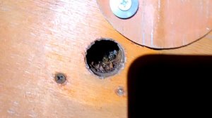 Не удержался и зашёл в первый зимовник! Зимовка пчёл на середину февраля.