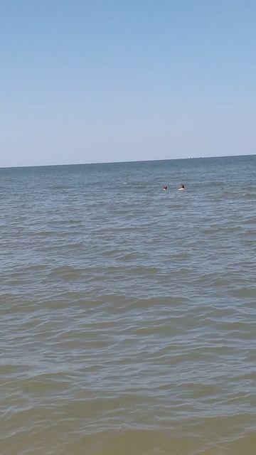 На пляже Азовского моря можно с детьми построить песчанные замки смотреть онлайн