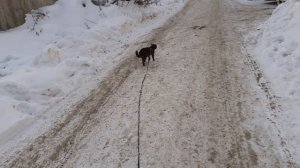 На улице стало теплее.