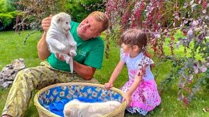 Ангелина сегодня грустная, а Олег Зубков рассказывает КАКАЯ СУДЬБА ждет львов в