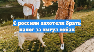 С россиян захотели брать налог за выгул собак