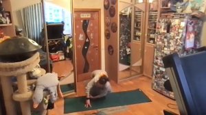 День 1. онлайн марафон ТМ про Решения. Практика йоги на все тело