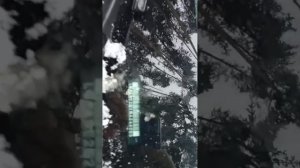 СМОТРИМ CHANGAN И ПЛАВНО ПЕРЕХОДИМ НА лисян