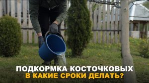 ТАКУЮ ПОДКОРМКУ МОЖНО СДЕЛАТЬ ДАЖЕ ЗИМОЙ. Подкормка косточковых и плодовых культур.