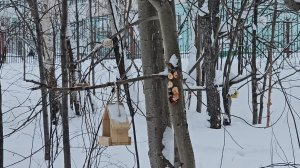 прогулялась у ОЗЕРА/ ПОДСТРИГЛАСЬ/ ПЕРЕЖИВАЮ