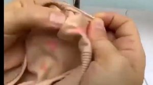 ❗МК — как пришить молнию быстро и просто❗