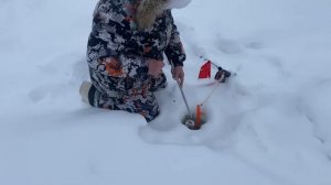 Снова на пасту.Основной водоём