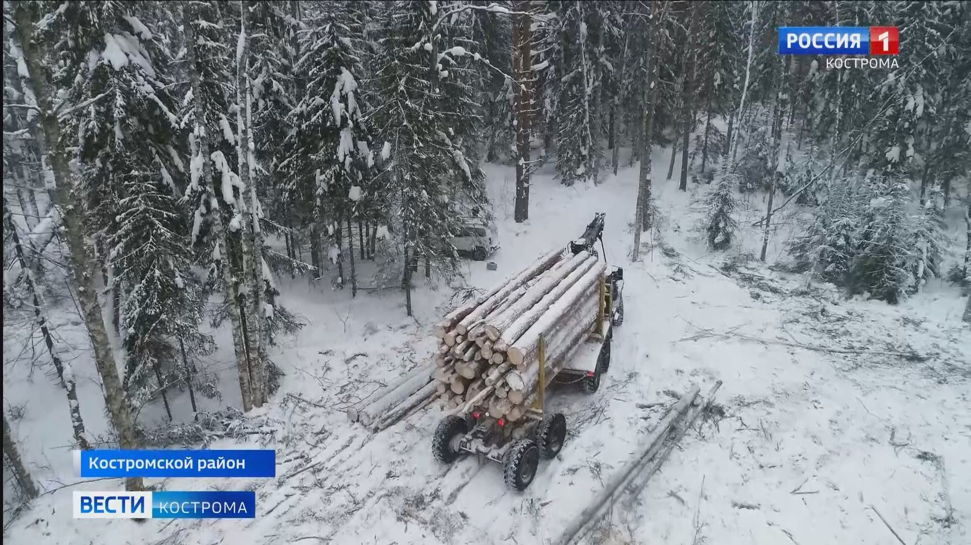 Работы у костромских лесорубов год от года становится только больше смотреть онлайн