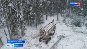 Работы у костромских лесорубов год от года становится только больше
