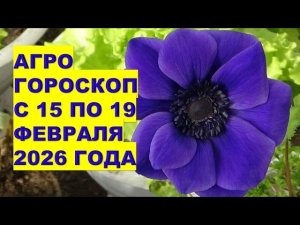 Почему НЕЛЬЗЯ с 16 по 17 февраля Ничего Сеять и Сажать в Дни Новолуния и Солнечного Затмения?!