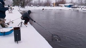 ЛОВЛЯ ФОРЕЛИ НА 1-м Вип РК"Фишка Петряиха"