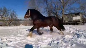 СГН48 Продажа ХАЗАР