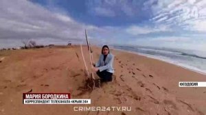 Социальными предпринимателями стали 200 крымчан