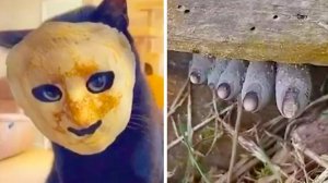 Фото, от которых станет не по себе