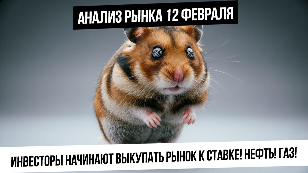 Анализ рынка 12 февраля. Плохие новости игнорируются? Идет покупка рынка под ставку! Газ! Нефть! смотреть онлайн
