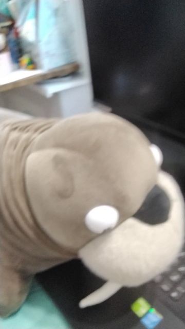 Морж грустит