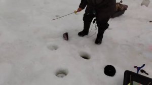 12.02.26 г. РК Волна.