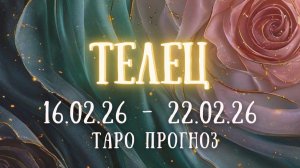 ТЕЛЕЦ ♉ таро прогноз на неделю 16.02.26 - 22.02.26