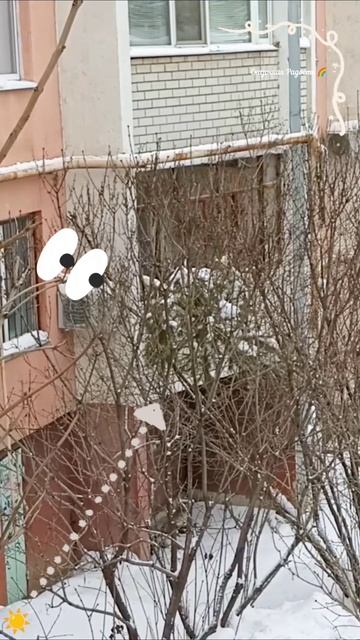 #интереснаяистория #одной #ёлка #саратов #шок #солнечный #событиедня #29января2026год #зима #удивлен смотреть онлайн