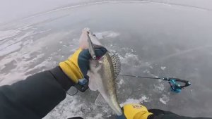 ВОТ ЭТО РАЗДАЧА! СЕРДЦЕ ЗАМИРАЕТ, 2 ДНЯ ЖДАЛИ! Рыбалка на судака. Зимняя рыбалка 2026