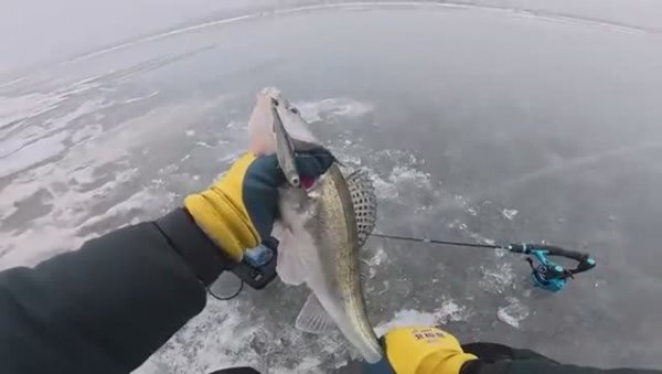 ВОТ ЭТО РАЗДАЧА! СЕРДЦЕ ЗАМИРАЕТ, 2 ДНЯ ЖДАЛИ! Рыбалка на судака. Зимняя рыбалка 2026