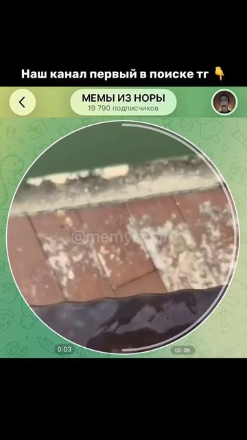 тгк-memyiznory#мемы#прикол#кружок#мем#приколы тгк-memyiznory#мемы#прикол#кружок#мем#приколы
