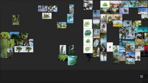 7 - 3D Realtime Tree Meshes_DeWatermark