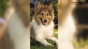 Доброе утречко, друзья! #утро