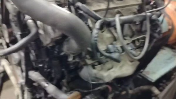 document_5215726666998909922