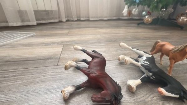 video-output-53484219-9B28-4856-87A8-7BB3E53932ED-1