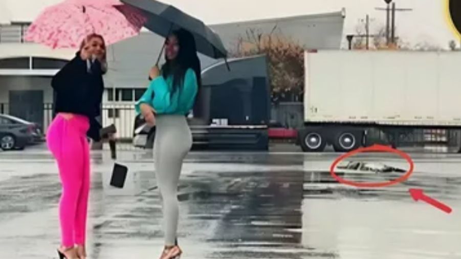 Подборка Прикольных Видео смотреть онлайн