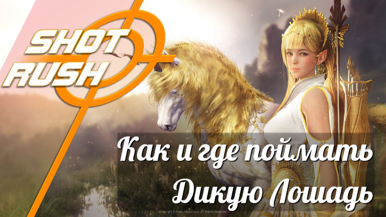 Black Desert БДО: Как поймать и где Дикую Лошадку смотреть онлайн
