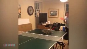 Животные приколы и не только😅