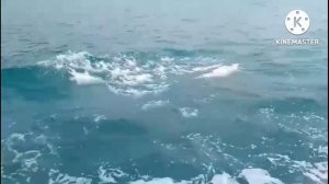 МУЗЫКА ДЛЯ ДУШИ... УМАР КЕЙН