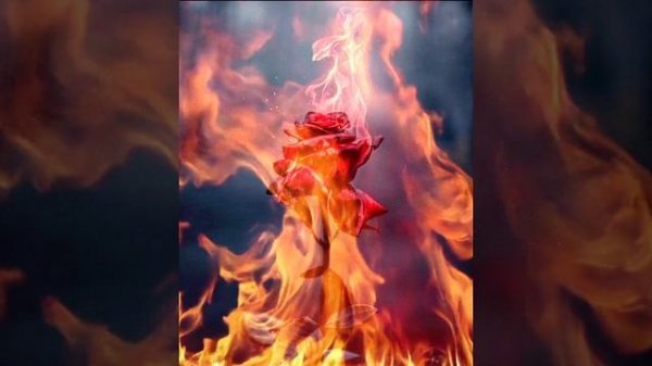 Garik Garik  ТВОИ СЛЁЗЫ....💔