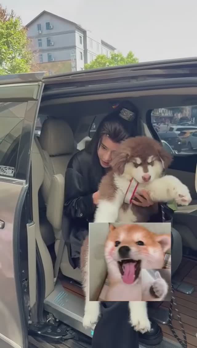 Daigaozheng Дайгаочжэн  代高政 и Эрбао, макияж для дорамы 