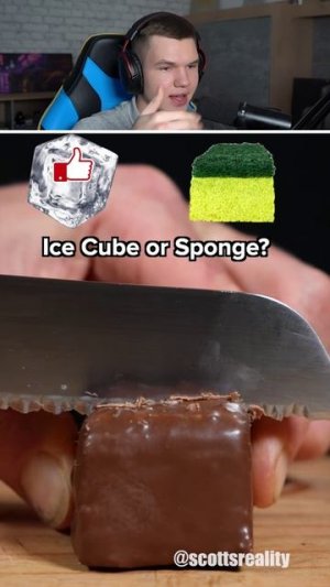 Стань Богатым: Лёд Или Губка?! 🧊🧽 #shorts #шортс #челлендж #тест #прикол #мем #реакция #юмор #шутк