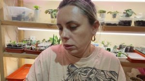 Купила фиалки.Нереально красивые фиалки.