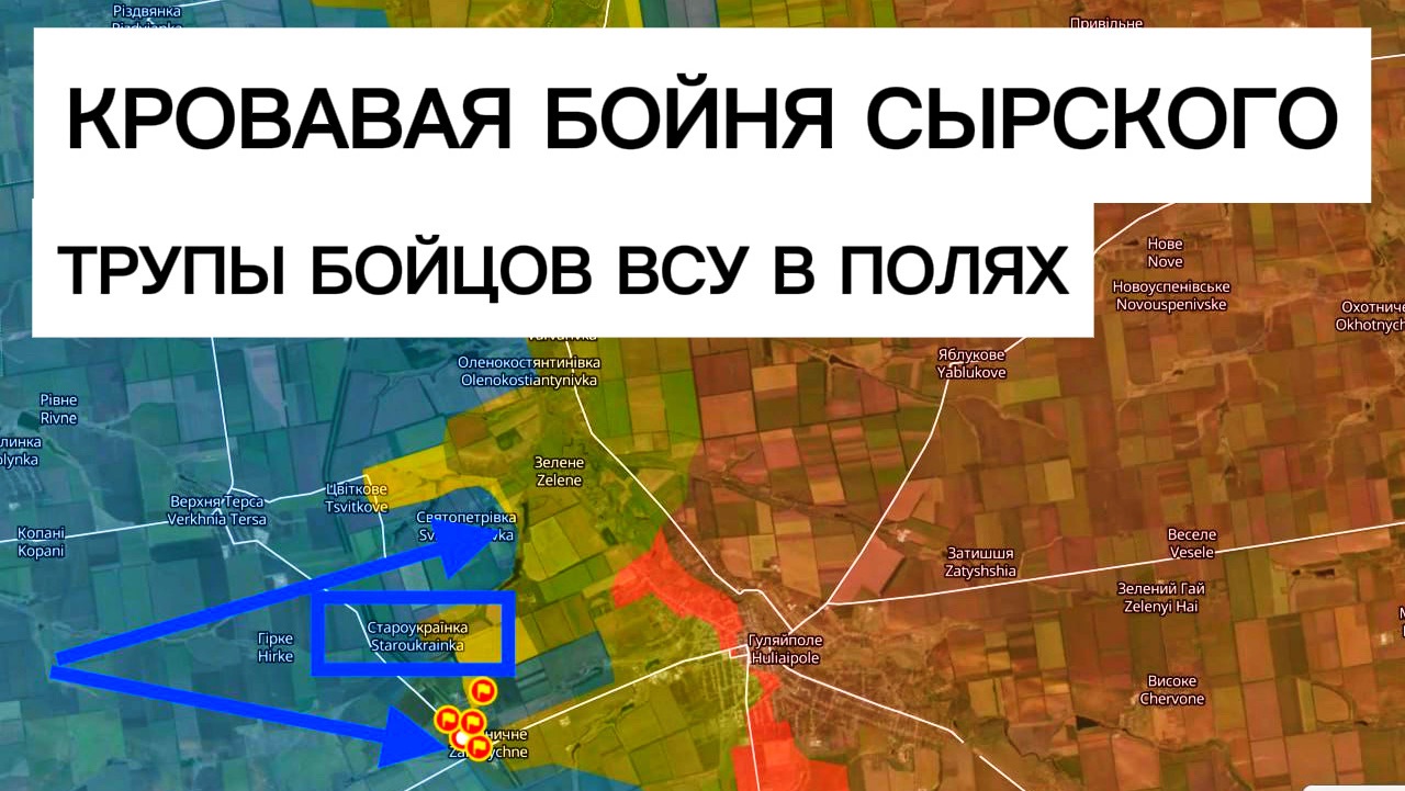 Яростные накаты ВСУ! Отступили из села! Куча трупов. Военные сводки 12.02.2025 смотреть онлайн